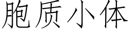 胞质小体 (仿宋矢量字库)