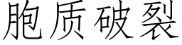 胞质破裂 (仿宋矢量字库)