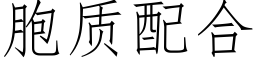 胞質配合 (仿宋矢量字庫)