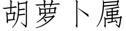 胡萝卜属 (仿宋矢量字库)