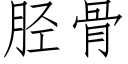 胫骨 (仿宋矢量字库)