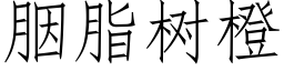 胭脂樹橙 (仿宋矢量字庫)