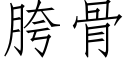 胯骨 (仿宋矢量字庫)