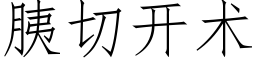 胰切開術 (仿宋矢量字庫)