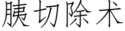 胰切除術 (仿宋矢量字庫)