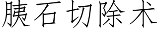 胰石切除术 (仿宋矢量字库)