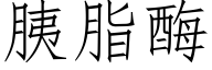 胰脂酶 (仿宋矢量字库)