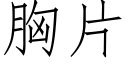 胸片 (仿宋矢量字库)