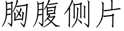 胸腹側片 (仿宋矢量字庫)