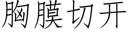 胸膜切開 (仿宋矢量字庫)