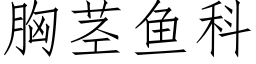 胸莖魚科 (仿宋矢量字庫)