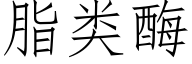 脂類酶 (仿宋矢量字庫)