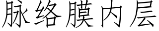 脈絡膜内層 (仿宋矢量字庫)