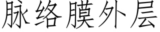 脉络膜外层 (仿宋矢量字库)