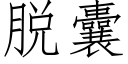 脫囊 (仿宋矢量字庫)