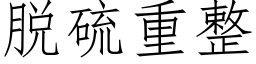 脱硫重整 (仿宋矢量字库)