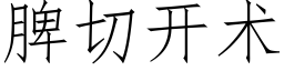 脾切开术 (仿宋矢量字库)