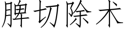 脾切除術 (仿宋矢量字庫)