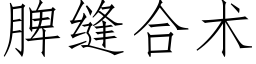 脾縫合術 (仿宋矢量字庫)