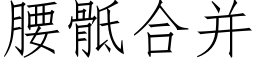 腰骶合并 (仿宋矢量字庫)