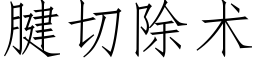 腱切除術 (仿宋矢量字庫)