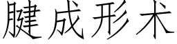 腱成形術 (仿宋矢量字庫)