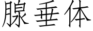 腺垂体 (仿宋矢量字库)