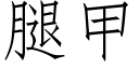 腿甲 (仿宋矢量字庫)