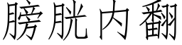 膀胱内翻 (仿宋矢量字库)