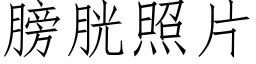 膀胱照片 (仿宋矢量字库)