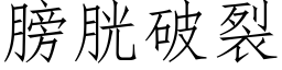 膀胱破裂 (仿宋矢量字库)