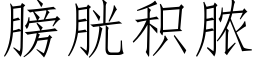 膀胱积脓 (仿宋矢量字库)