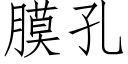 膜孔 (仿宋矢量字库)