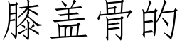 膝盖骨的 (仿宋矢量字库)