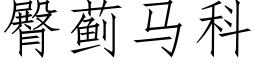 臀蓟马科 (仿宋矢量字库)