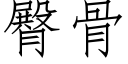 臀骨 (仿宋矢量字庫)