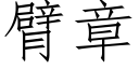 臂章 (仿宋矢量字庫)