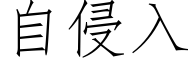 自侵入 (仿宋矢量字库)