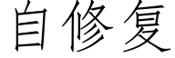 自修复 (仿宋矢量字库)