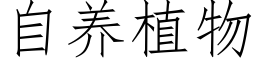 自养植物 (仿宋矢量字库)