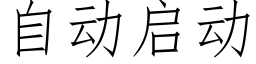 自动启动 (仿宋矢量字库)