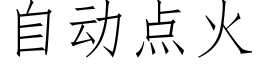 自动点火 (仿宋矢量字库)