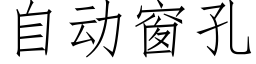 自动窗孔 (仿宋矢量字库)