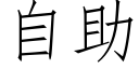 自助 (仿宋矢量字库)