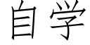 自学 (仿宋矢量字库)