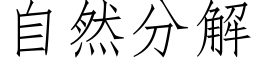 自然分解 (仿宋矢量字库)