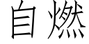 自燃 (仿宋矢量字库)