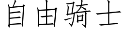 自由骑士 (仿宋矢量字库)