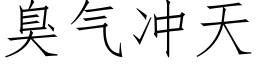 臭氣沖天 (仿宋矢量字庫)