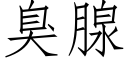 臭腺 (仿宋矢量字库)